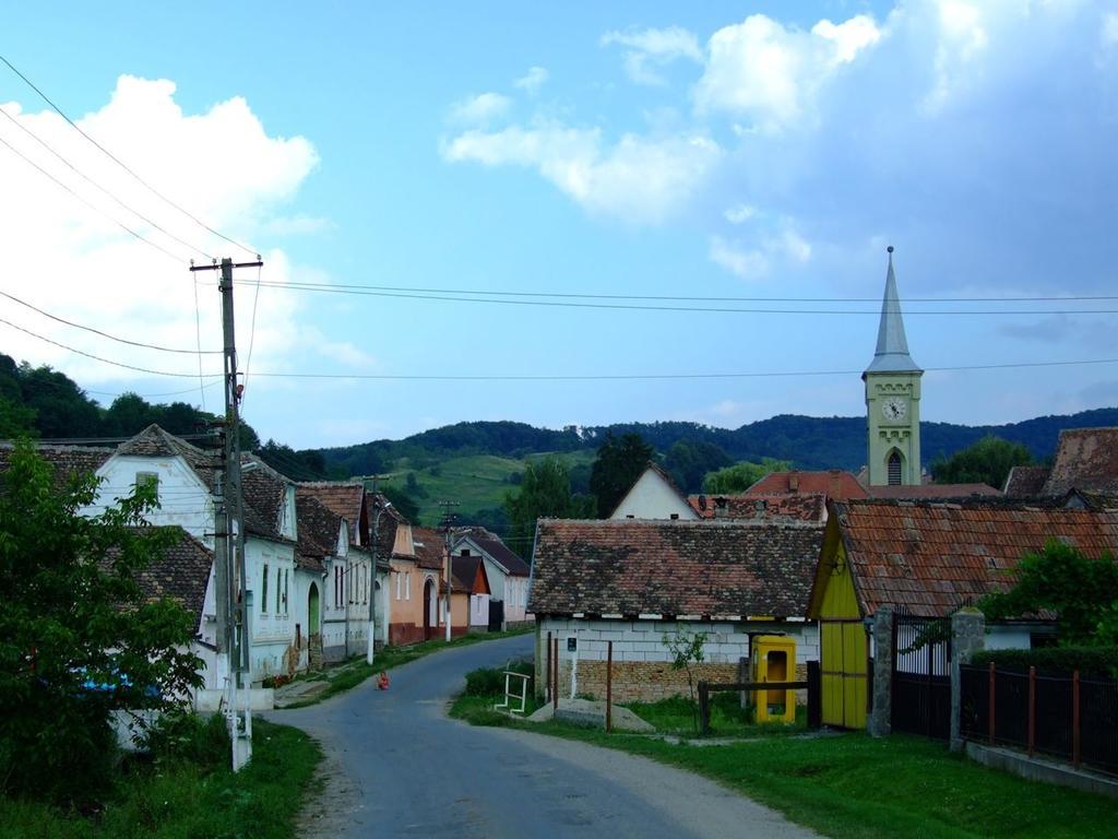 Pensiunea Liana Nemsa Esterno foto