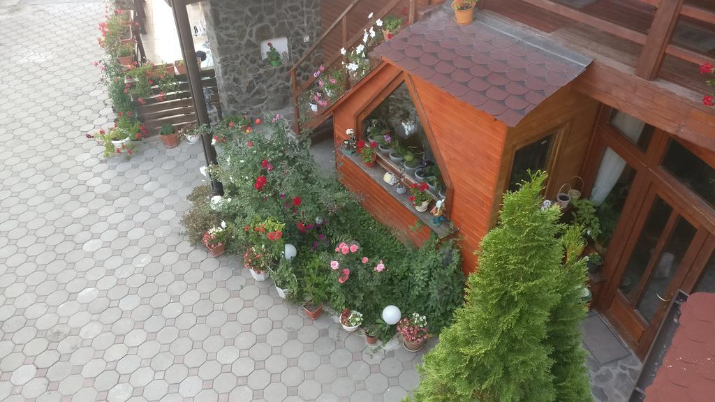 Pensiunea Liana Nemsa Esterno foto