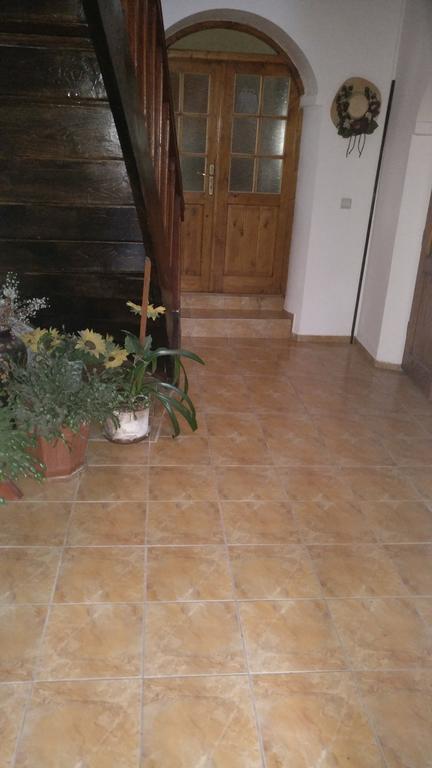 Pensiunea Liana Nemsa Esterno foto