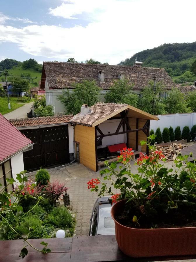 Pensiunea Liana Nemsa Esterno foto