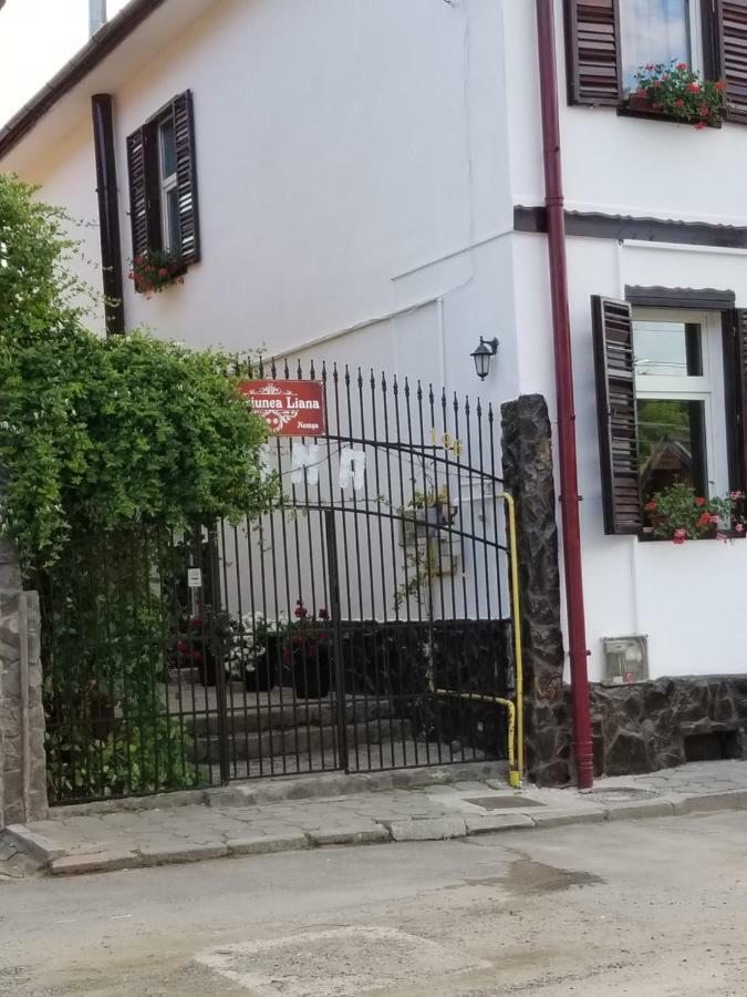 Pensiunea Liana Nemsa Esterno foto
