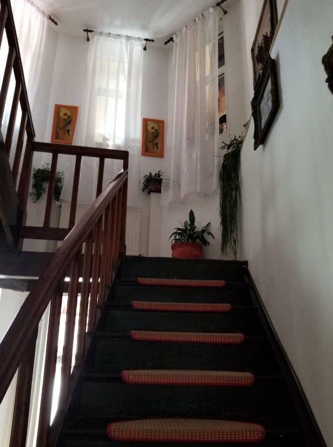 Pensiunea Liana Nemsa Esterno foto