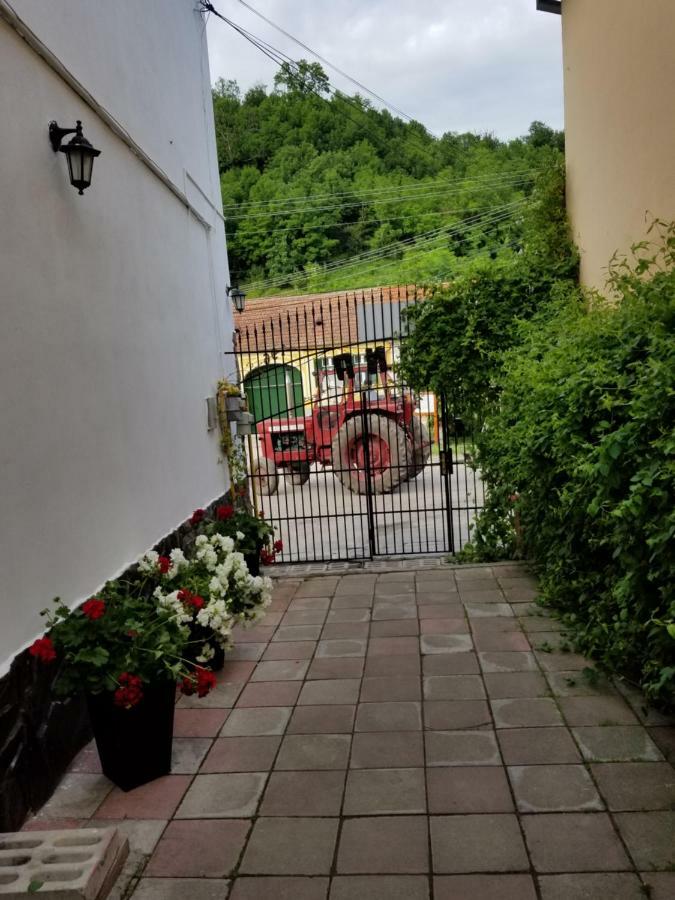 Pensiunea Liana Nemsa Esterno foto